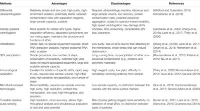 Challenges in the Development of Drug Delivery Systems Based on Small Extracellular Vesicles for Therapy of Brain Diseases